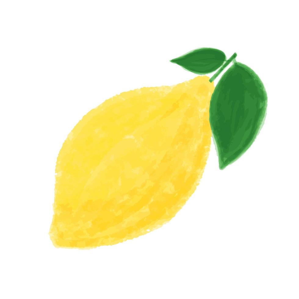 Hand drawn cute watercolor yellow lemon with two green leaves, citrus artwork on white background. vector