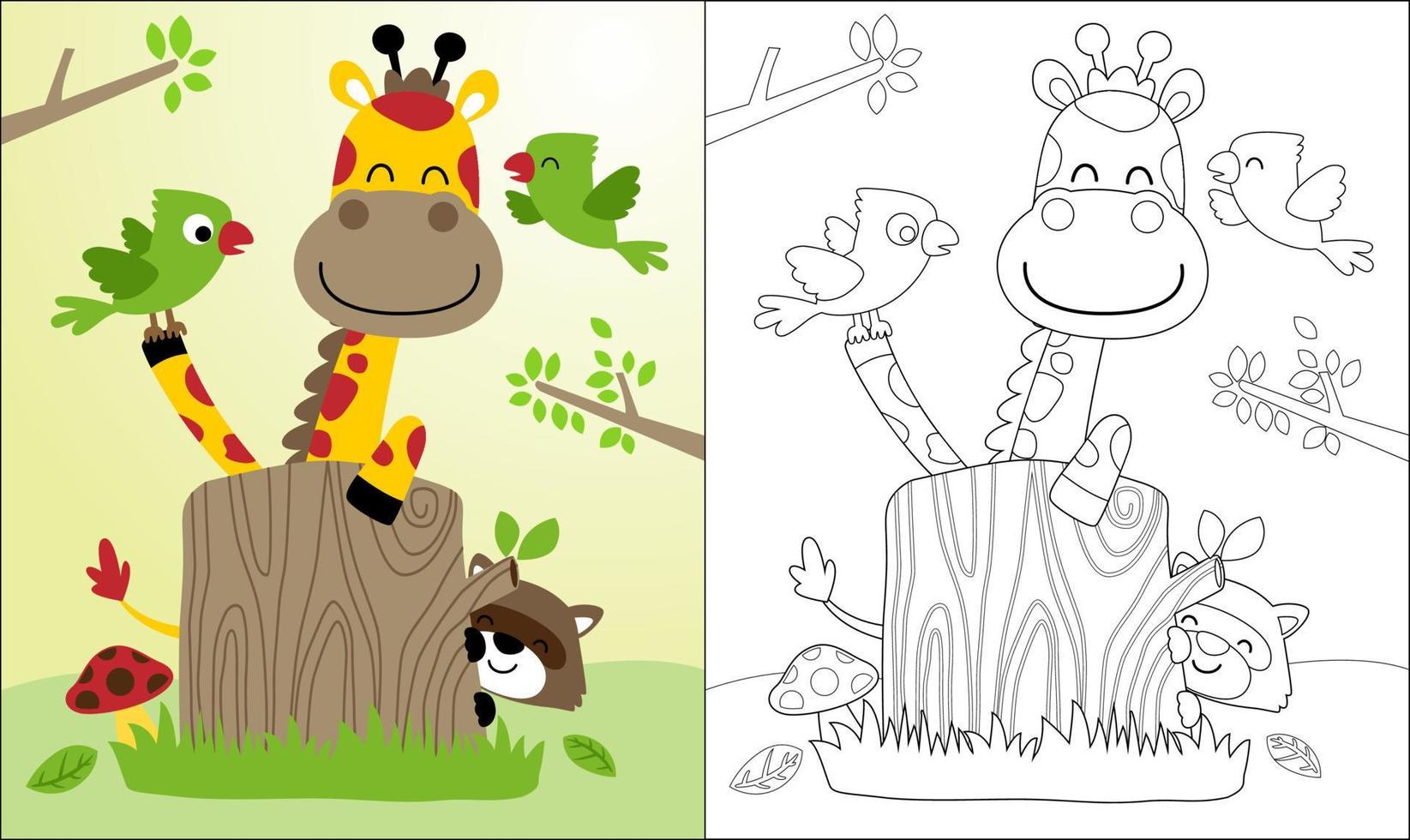 Coloring book or page of nice giraffe cartoon with raccoon and birds. vector