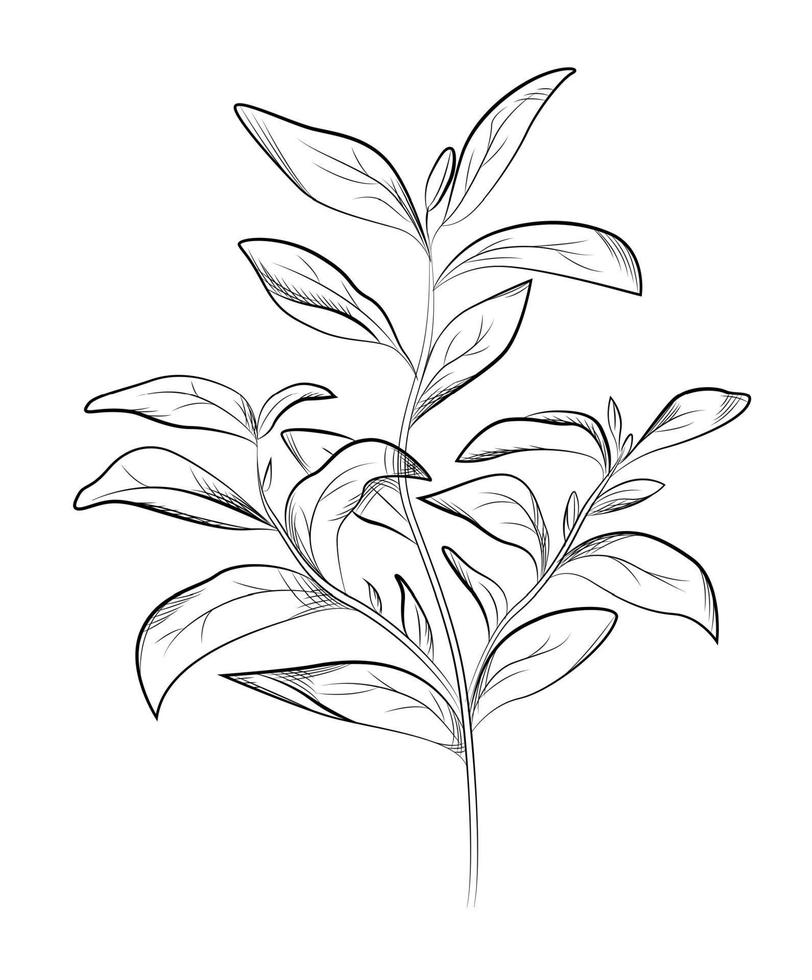 Tea leaves. Hand drawn vector illustration