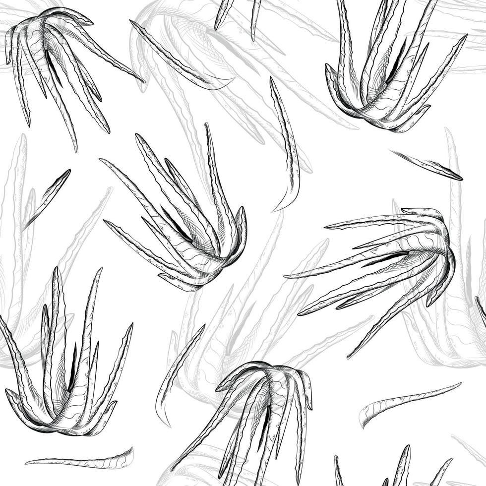 Aloe vera. Seamless pattern. Hand drawn vector illustration.