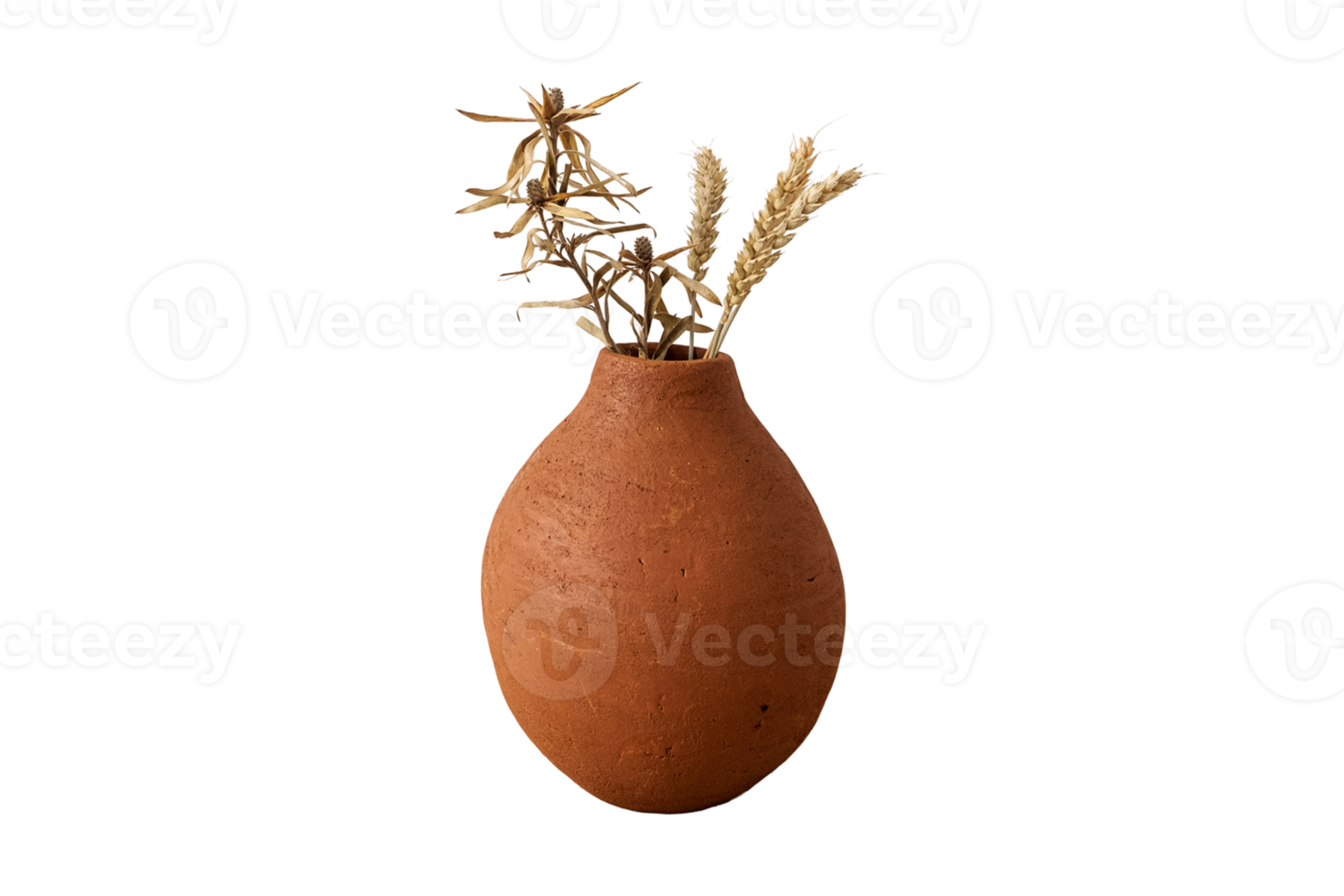 Clay vase with dried plants isolated on a transparent background png