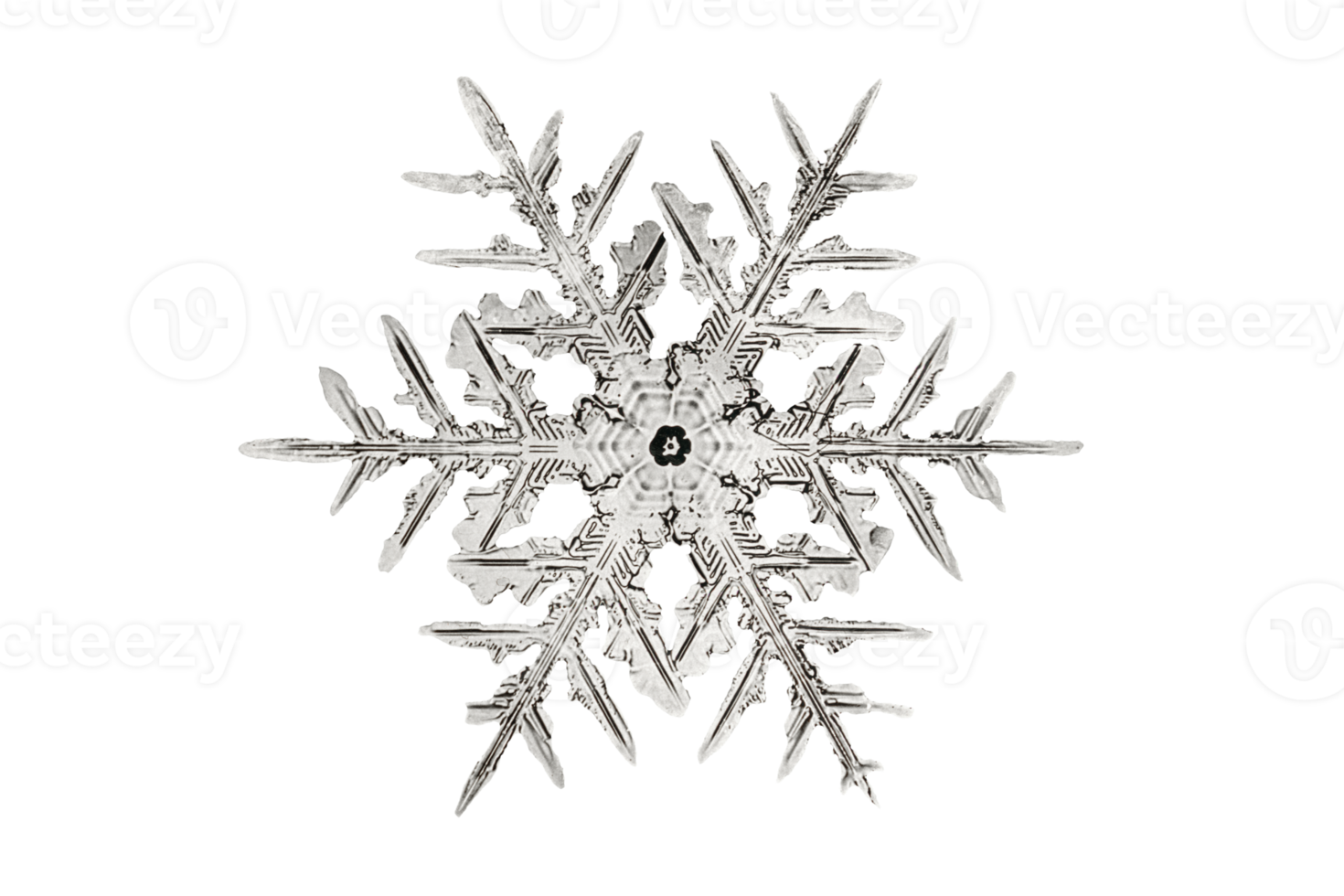 Silber Weihnachten Star isoliert auf ein transparent Hintergrund png