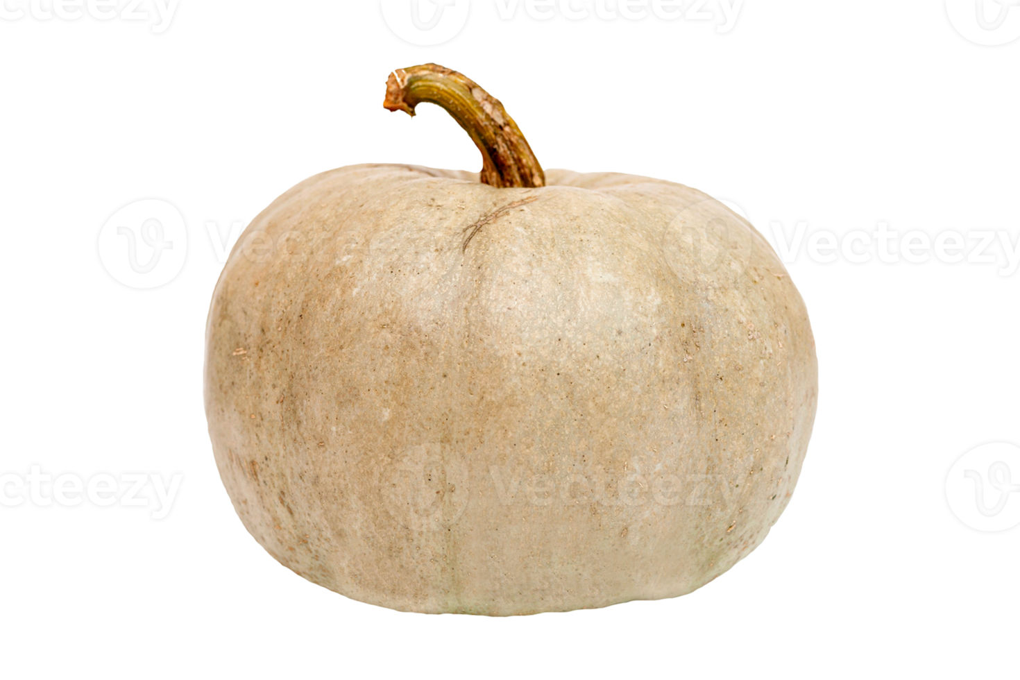 Pumpkin vegetables isolated on a transparent background png