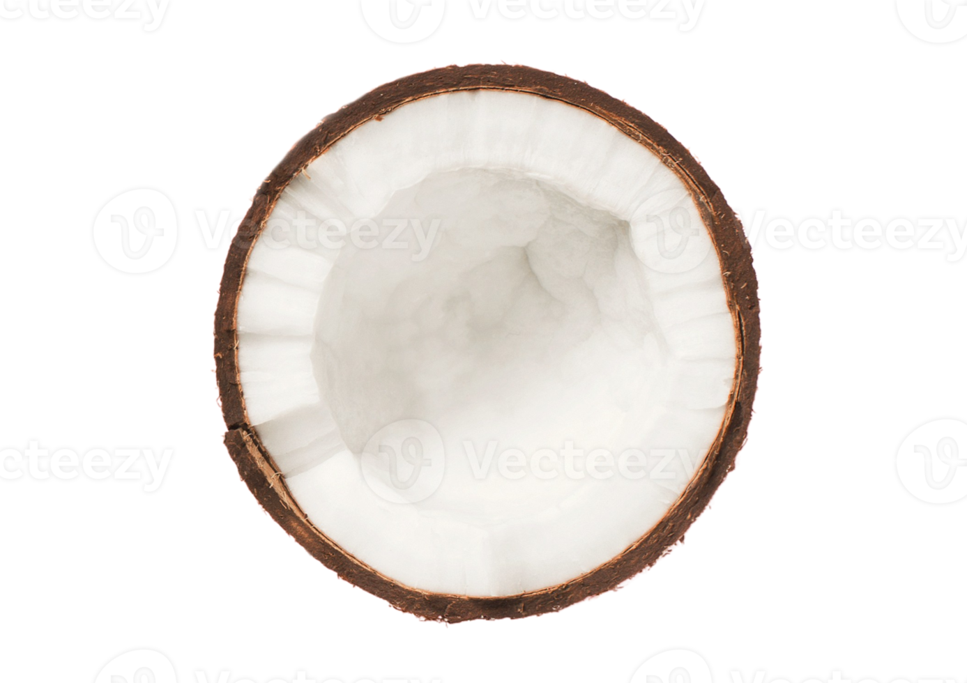 Half coconut isolated on a transparent background png