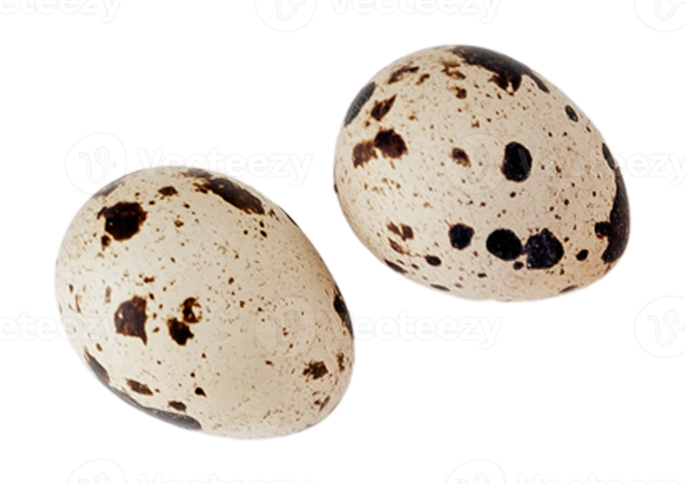 Quail eggs isolated on a transparent background png