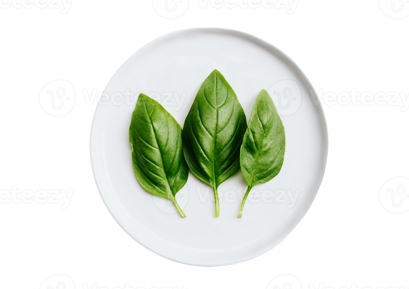 White plate with basil leaves isolated on a transparent background png