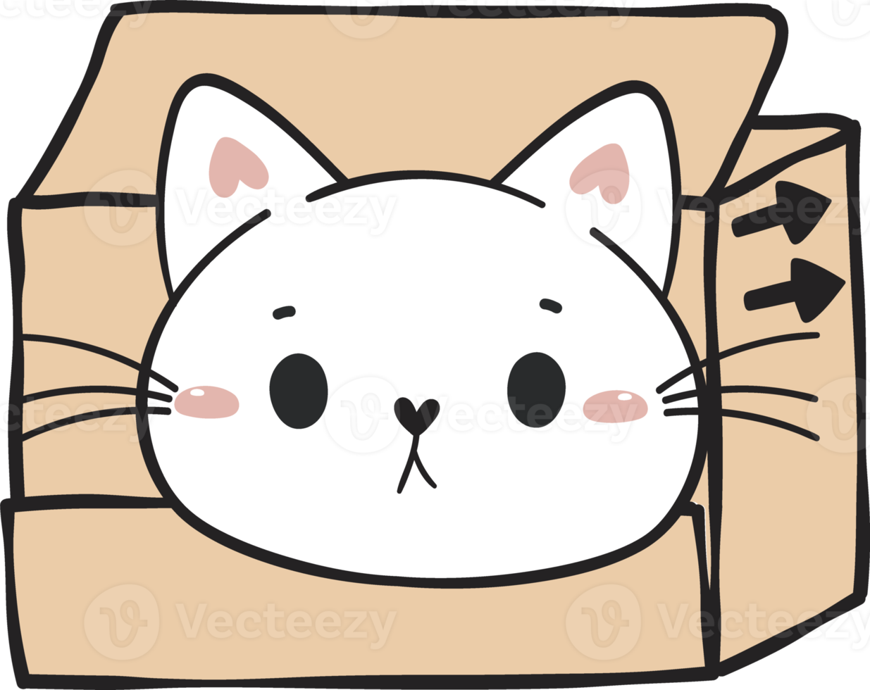 cute funny playful naughty white kitty cat pet in cardboard box animal doodle drawing png