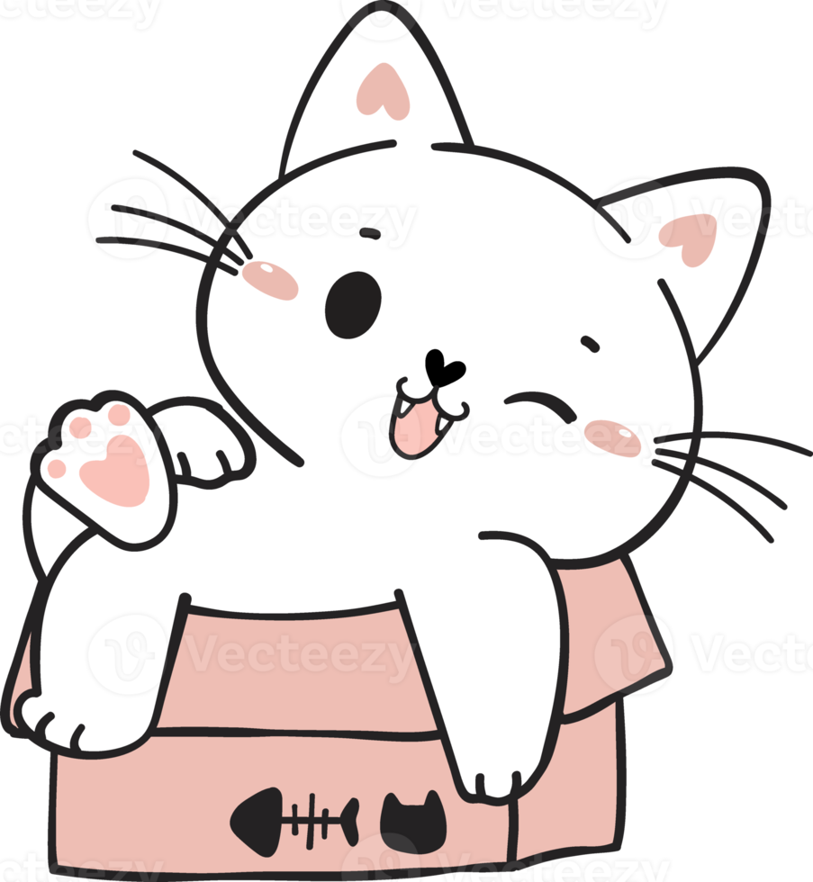 cute funny playful naughty white kitty cat pet in cardboard box animal doodle drawing png