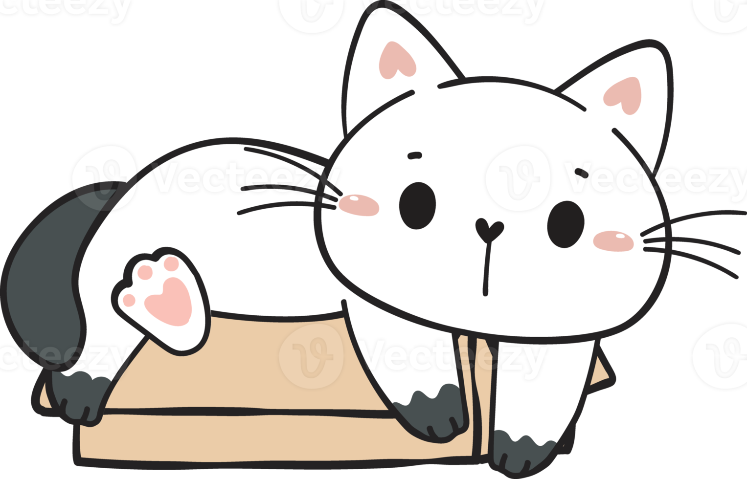 cute funny playful naughty white kitty cat pet in cardboard box animal doodle drawing png