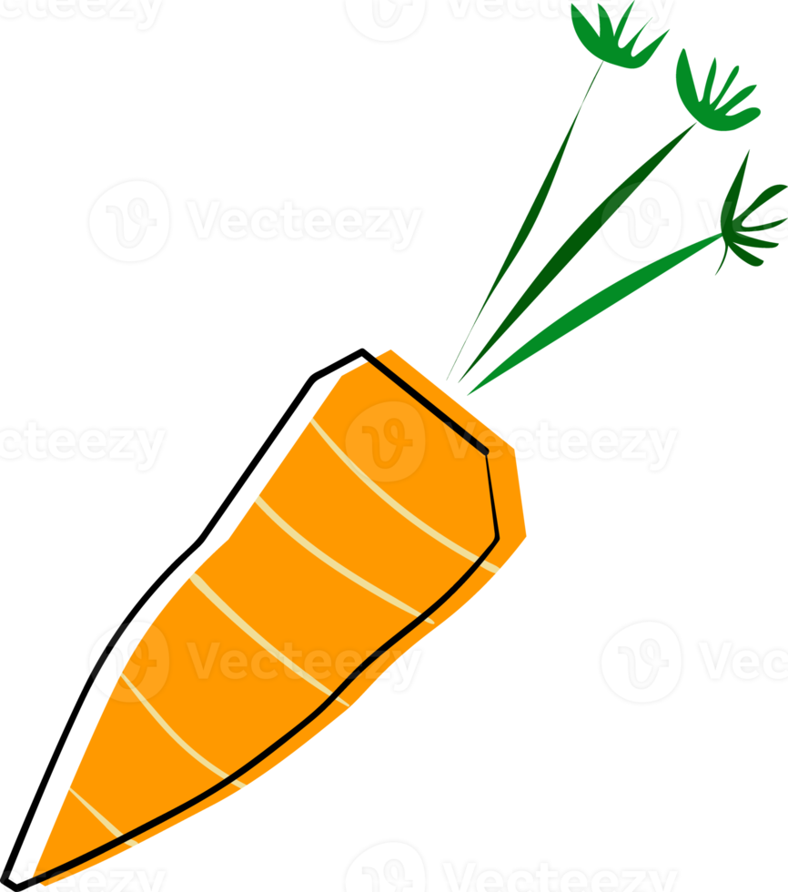 cute carrot fruits and vegetable funky quirky hand drawing doodle png