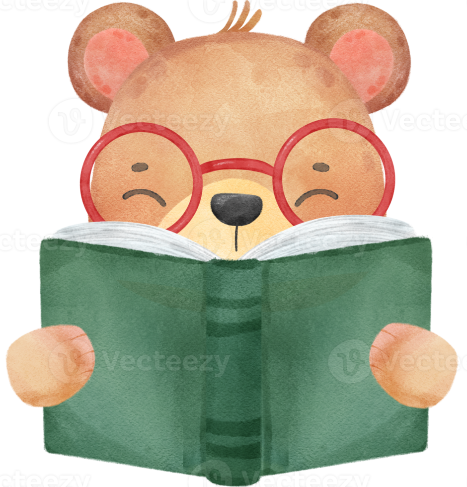 cute watercolour safari bear animals kid back to school reading book cartoon png