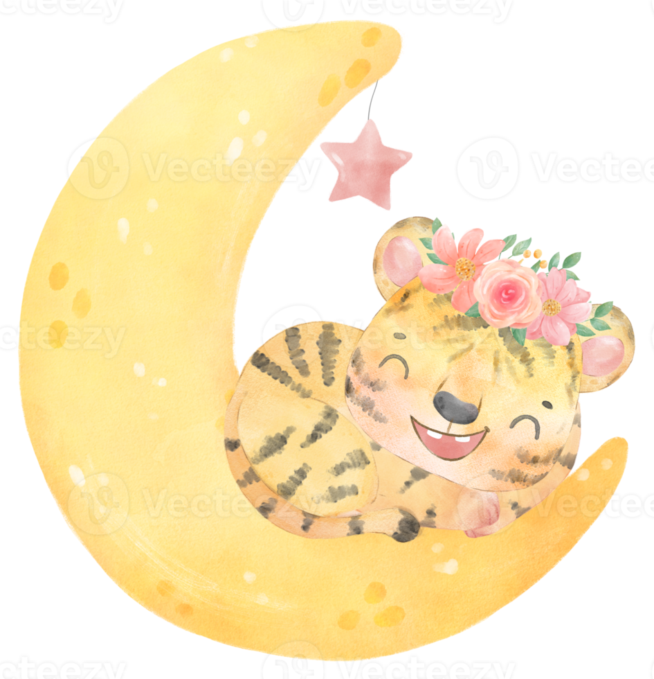 cute sweet innocence baby tiger on dreamy crescent moon phase kid nursery watercolour Illustration png