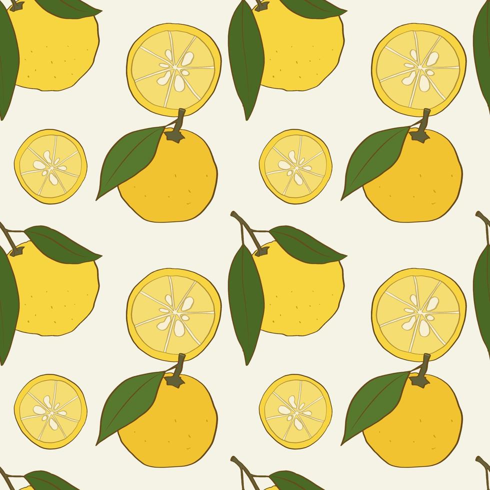 Seamless pattern with hand drawn yuzu fruits with leaves vector