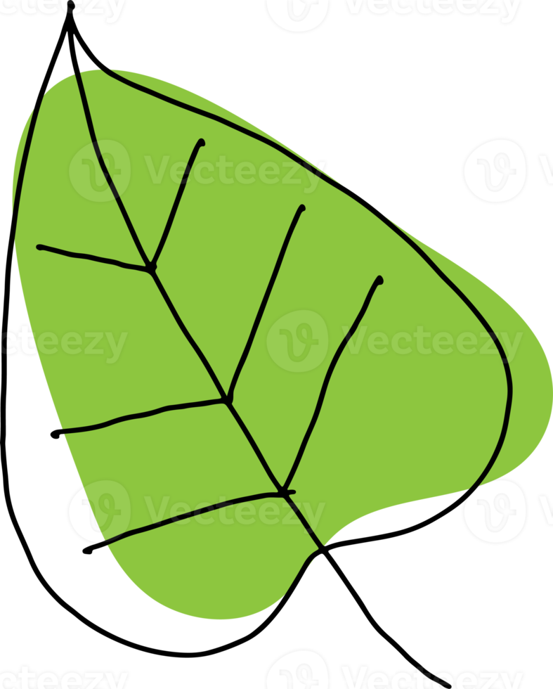 leaf art drawing for spa or cafe nature concept png