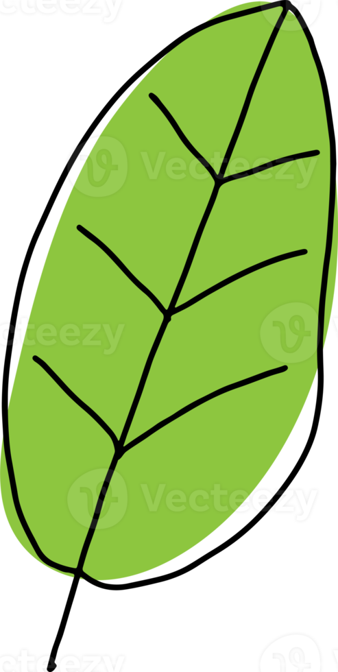 leaf art drawing for spa or cafe nature concept png