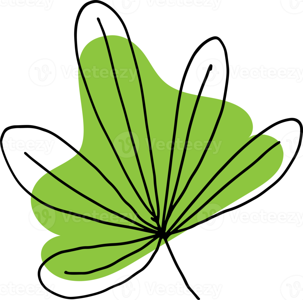 leaf art drawing for spa or cafe nature concept png