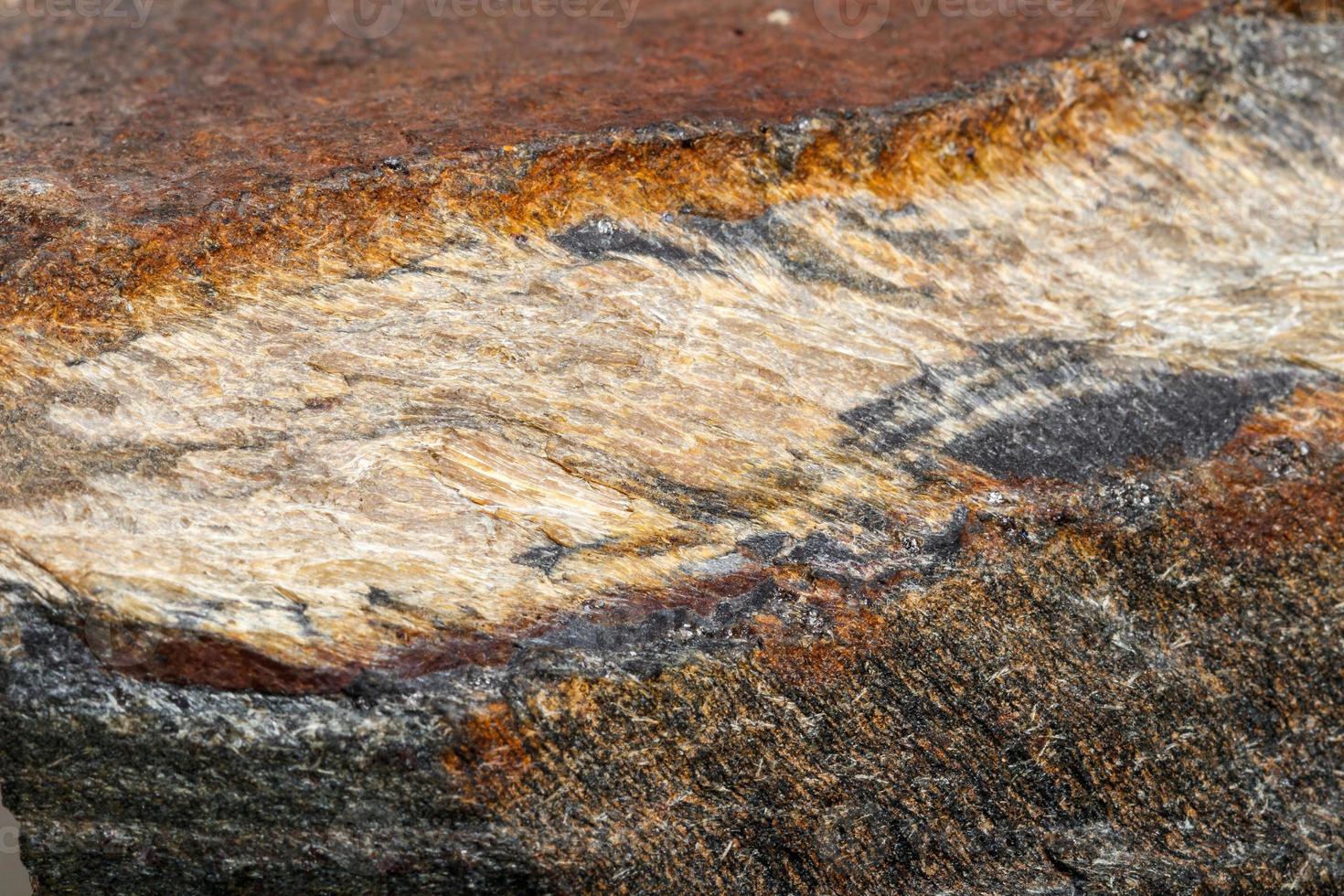 Macro mineral stone Snake eye in the rock a white background photo