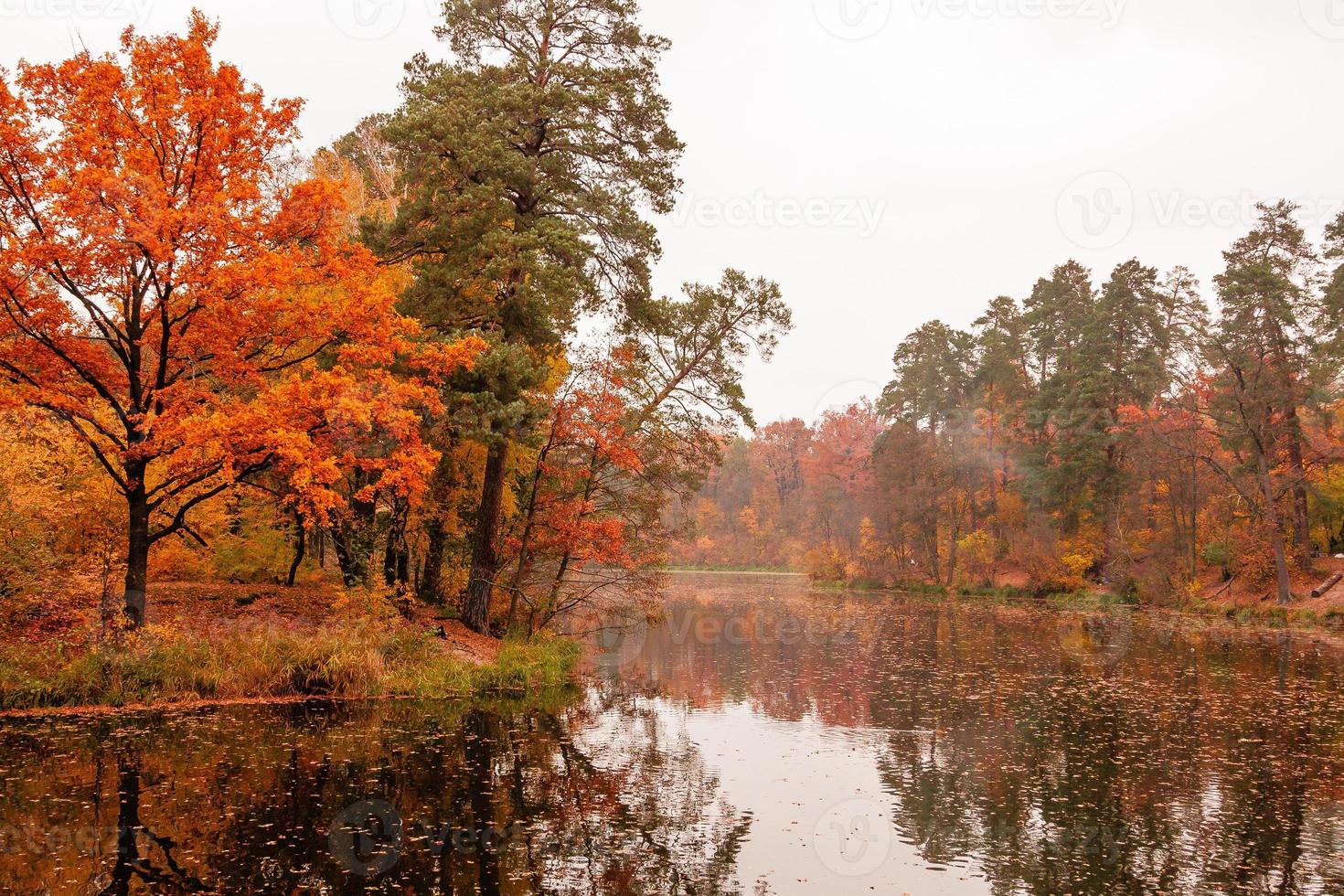 hermosa lago en un bosque con otoño arboles foto