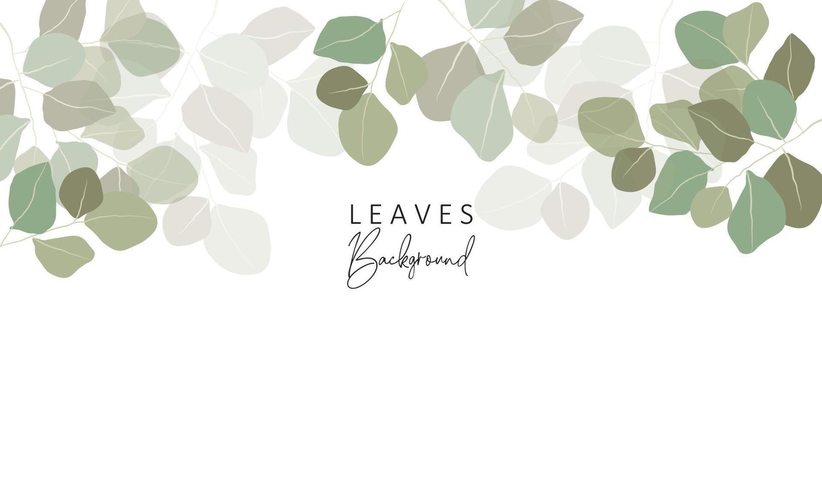floral background with eucalyptus leaves vector
