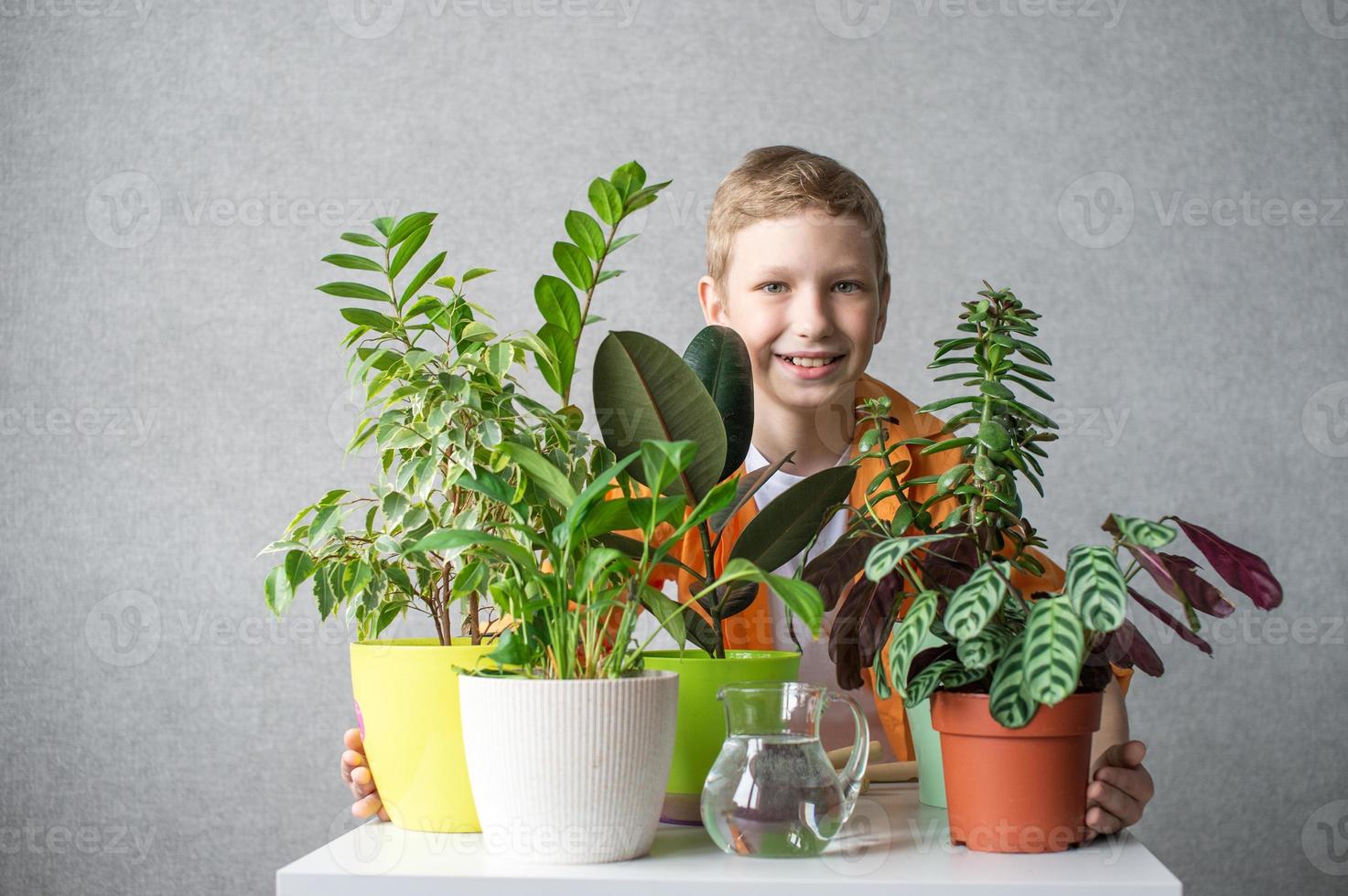 A cute happy boy, an agronomist, is standing near a table with indoor plants. Be proud of the result photo