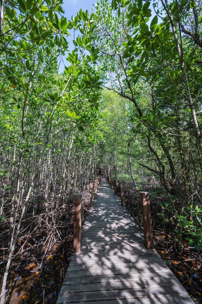 de madera puente pasarela a kung Krabaen bahía mangle bosque a chanthaburi ciudad tailandia foto