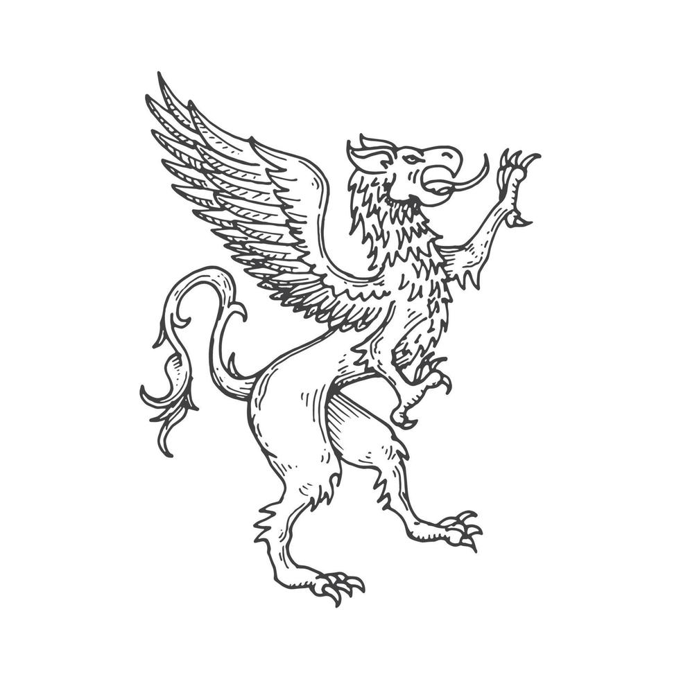 grifo o grifo medieval heráldico animal bosquejo vector