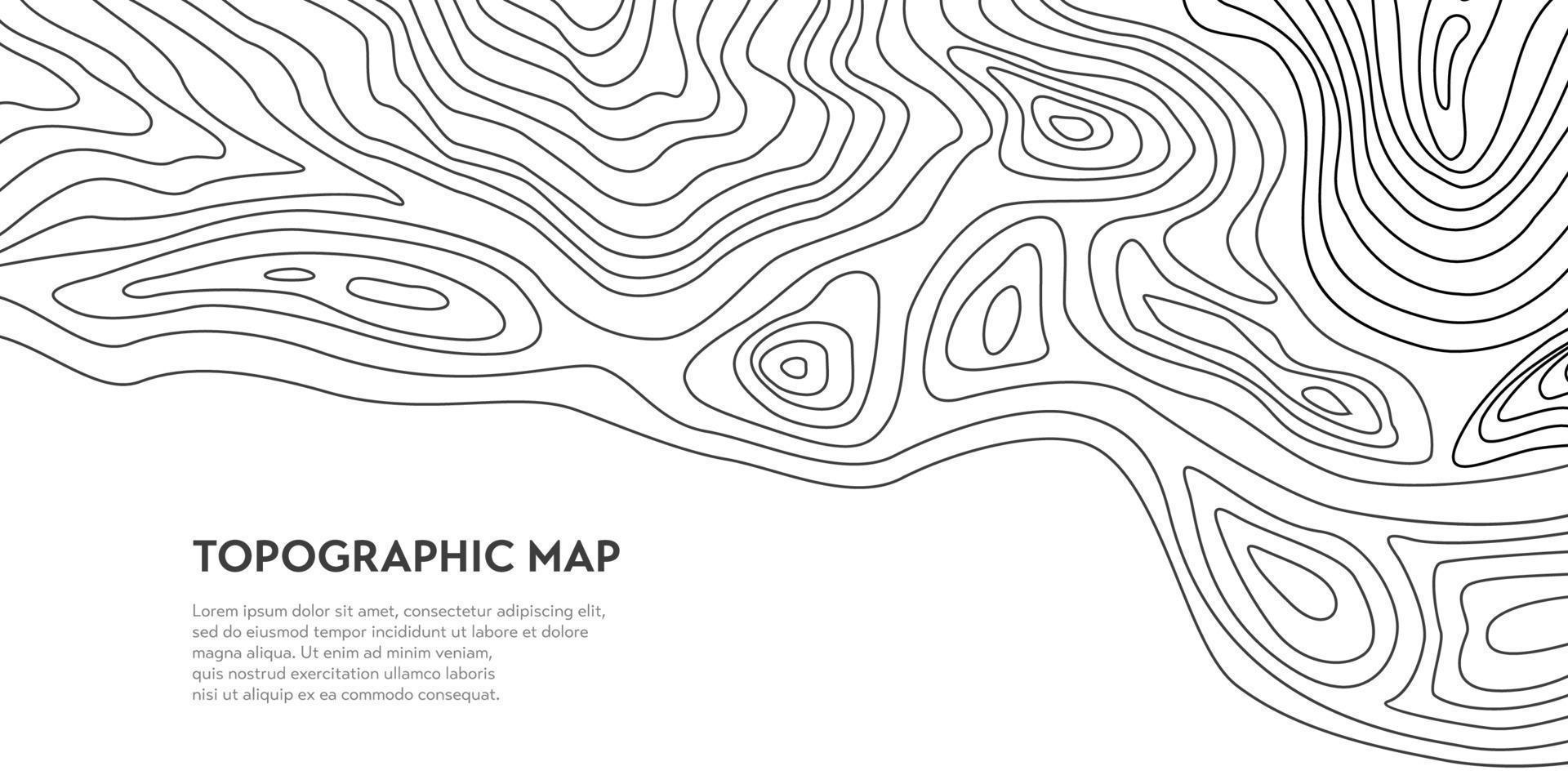 topográfico mapa red, alivio contorno de terreno vector