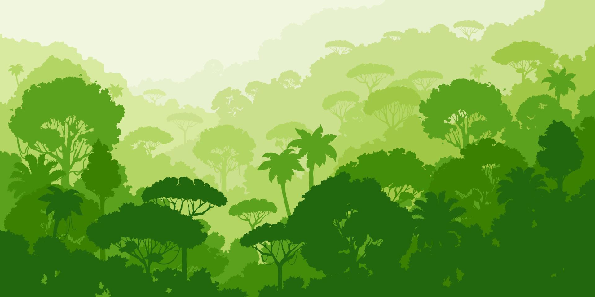 Jungle forest silhouette tropical vector landscape