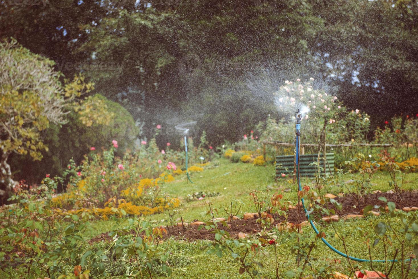 Figure shows how the field is irrigated photo