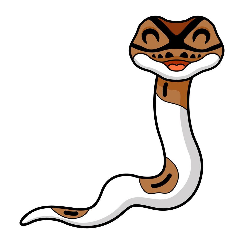 Cute pied ball python cartoon vector