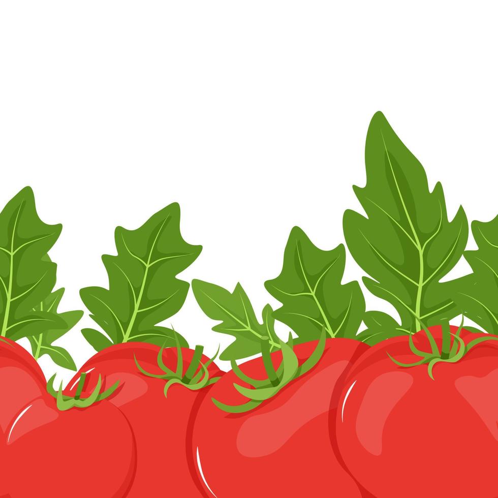 Seamless border of red tomatoes and green leaves vector