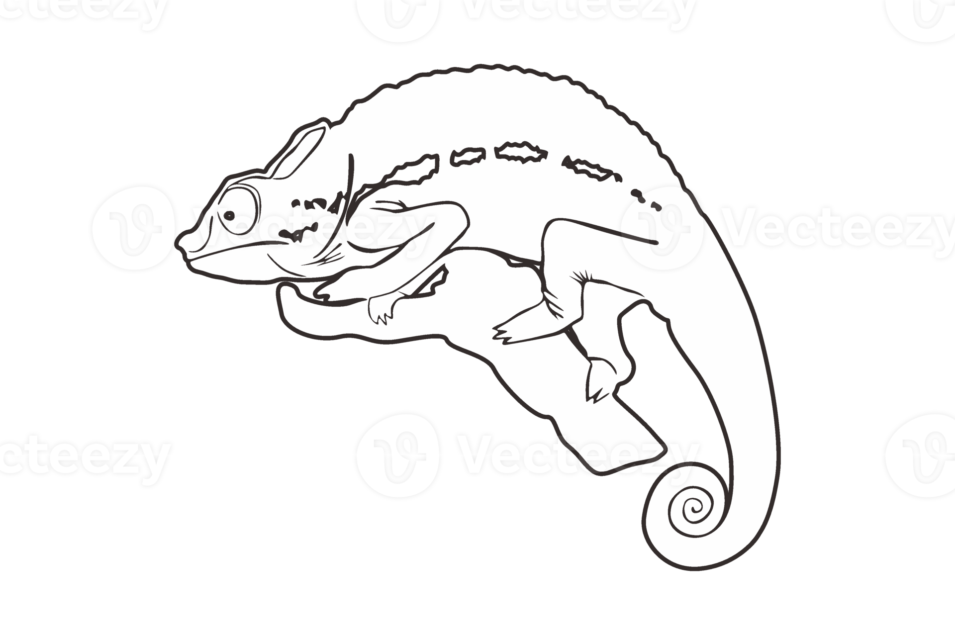Free Reptile Animal - Chameleon Line Art 22034125 PNG with Transparent