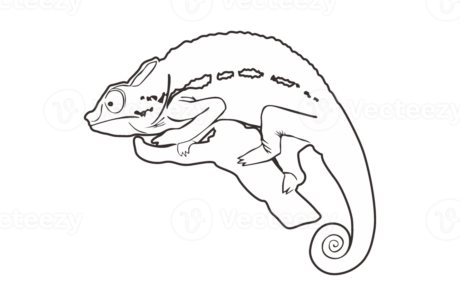 Reptile Animal - Chameleon Line Art png