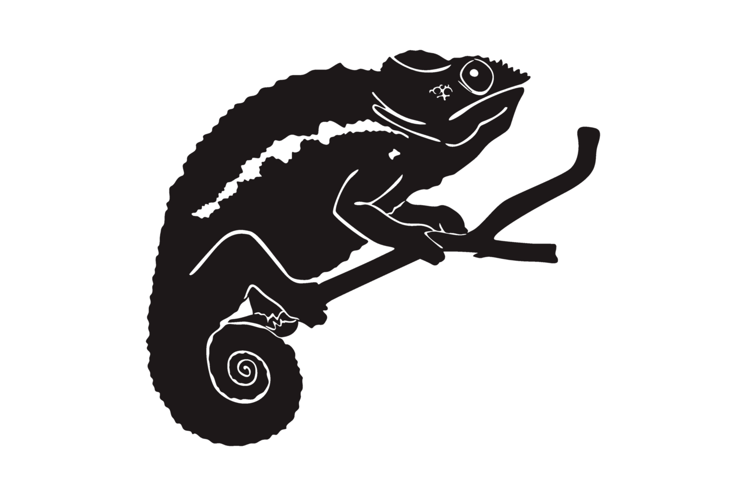 noir silhouette de caméléon png