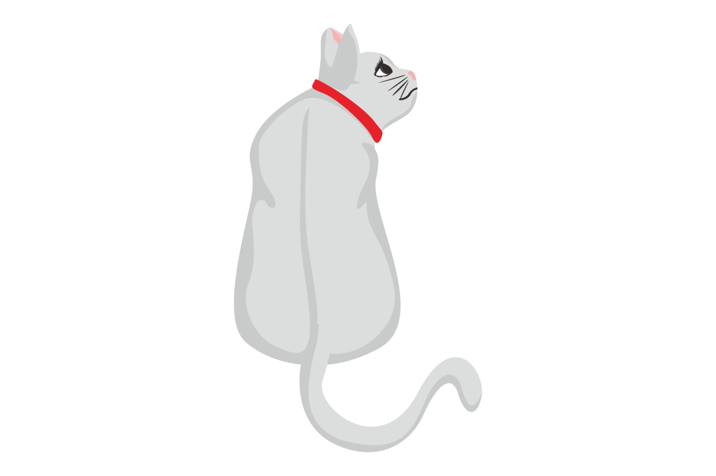 Weiß Katze aussehen seitwärts png
