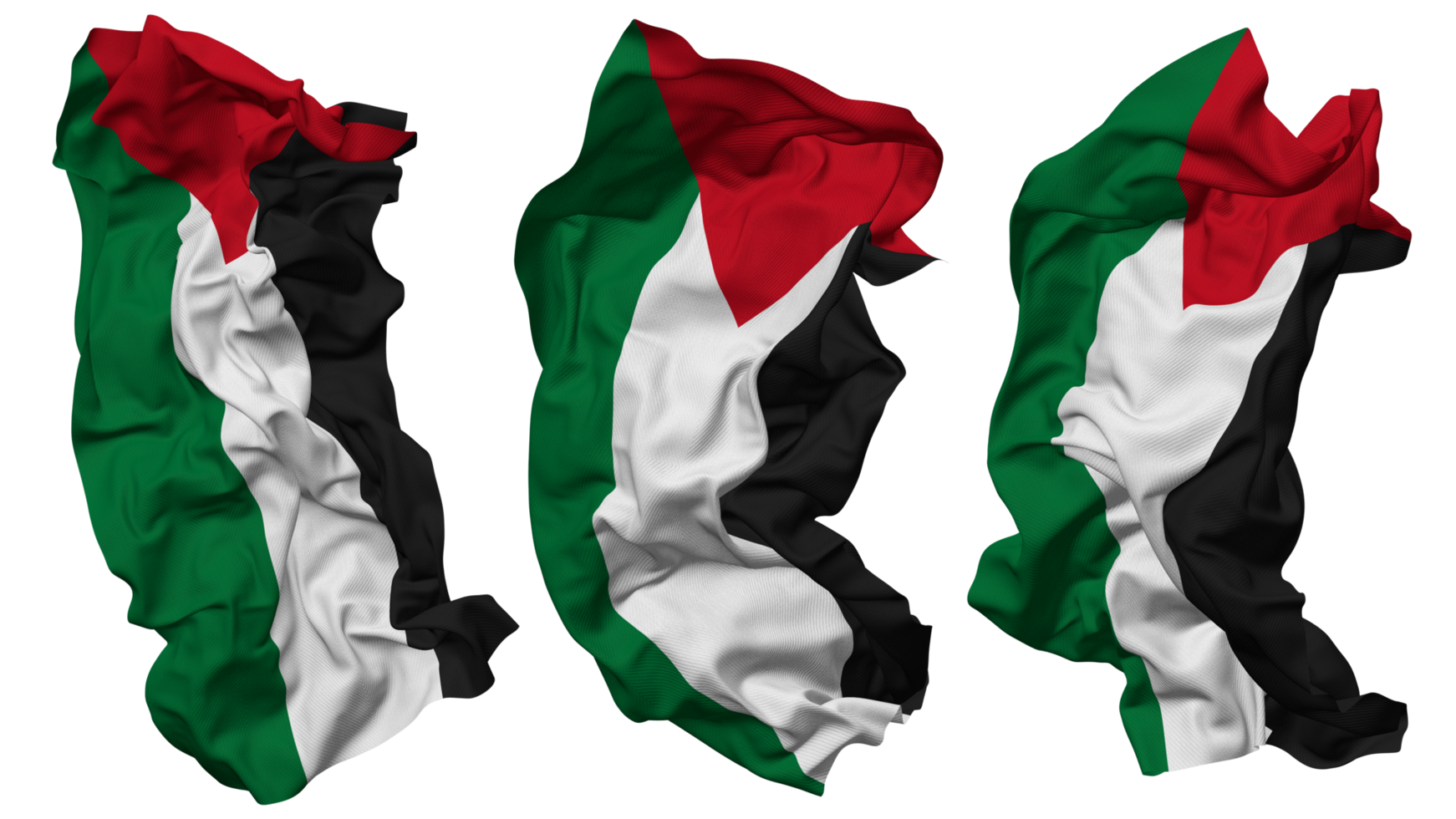 State of Palestine Flag Waves Isolated in Different Styles with Bump Texture, 3D Rendering png