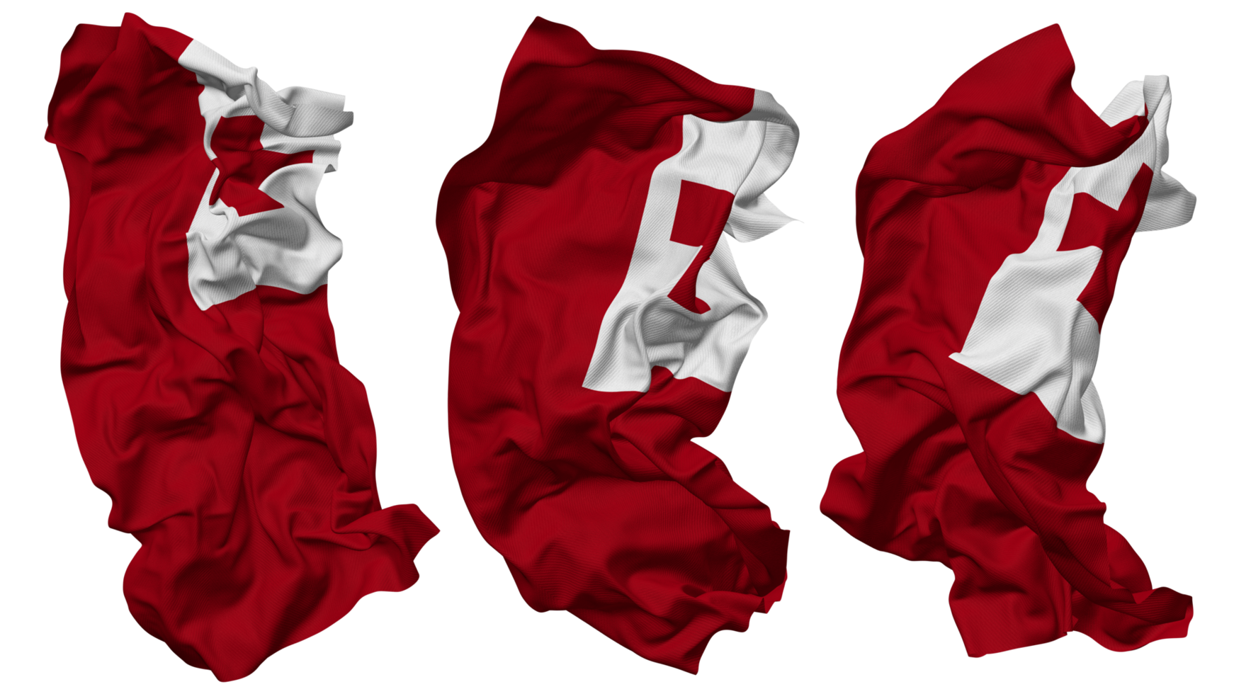 Tonga Flag Waves Isolated in Different Styles with Bump Texture, 3D Rendering png