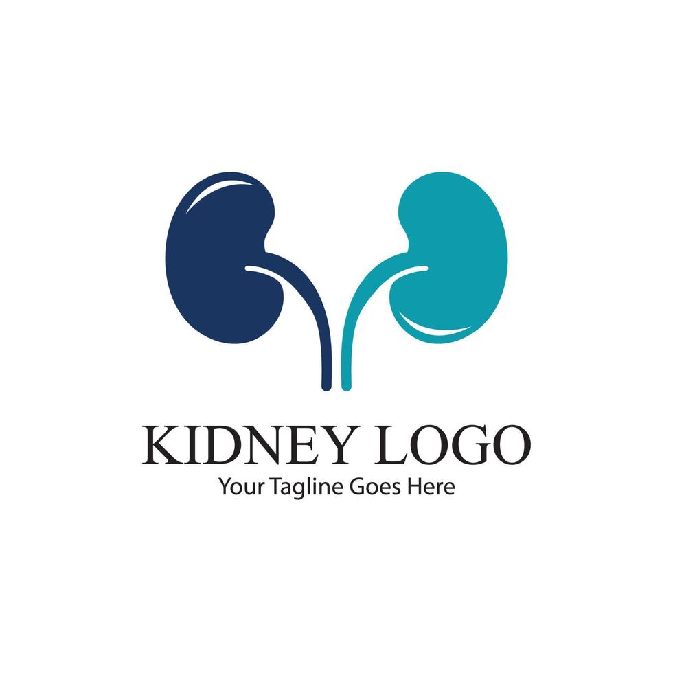 kidney vector illusrtation
