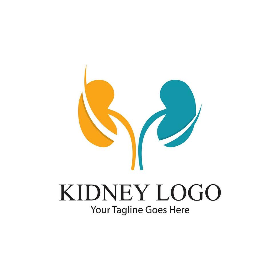 kidney vector illusrtation