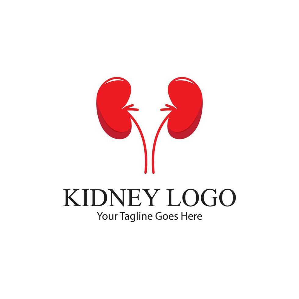 kidney vector illusrtation