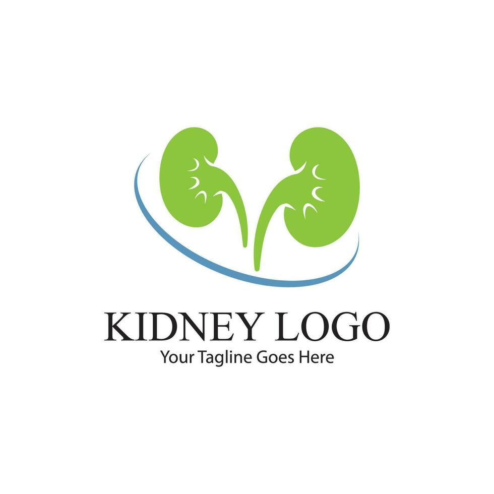 kidney vector illusrtation