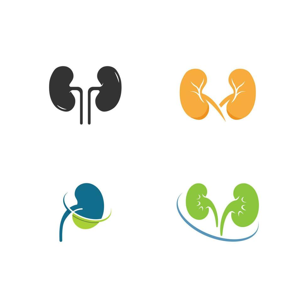 kidney vector illusrtation