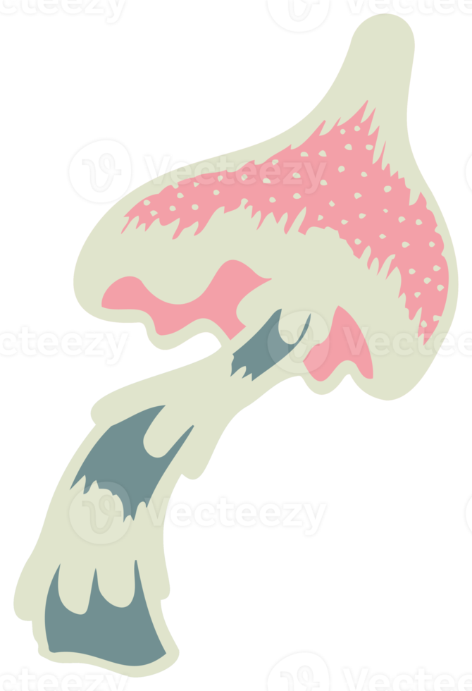 Color groove mushroom psychedelic stickers. Retro design of hipster icons Doodle style graphic. Vintage trippy cartoon 60 70 80 90 trendy PNG illustration