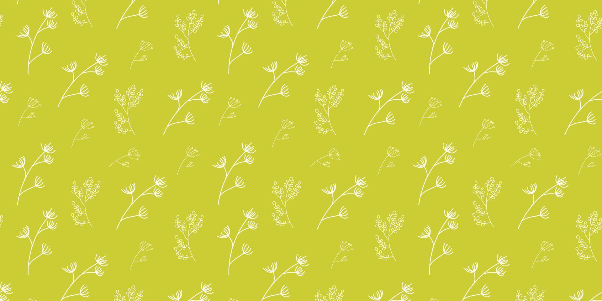 Seamless floral pattern. White herbs on green background. Botanical illustration. vector