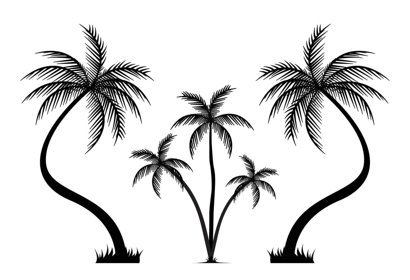 palm tree silhouettes with different style vector