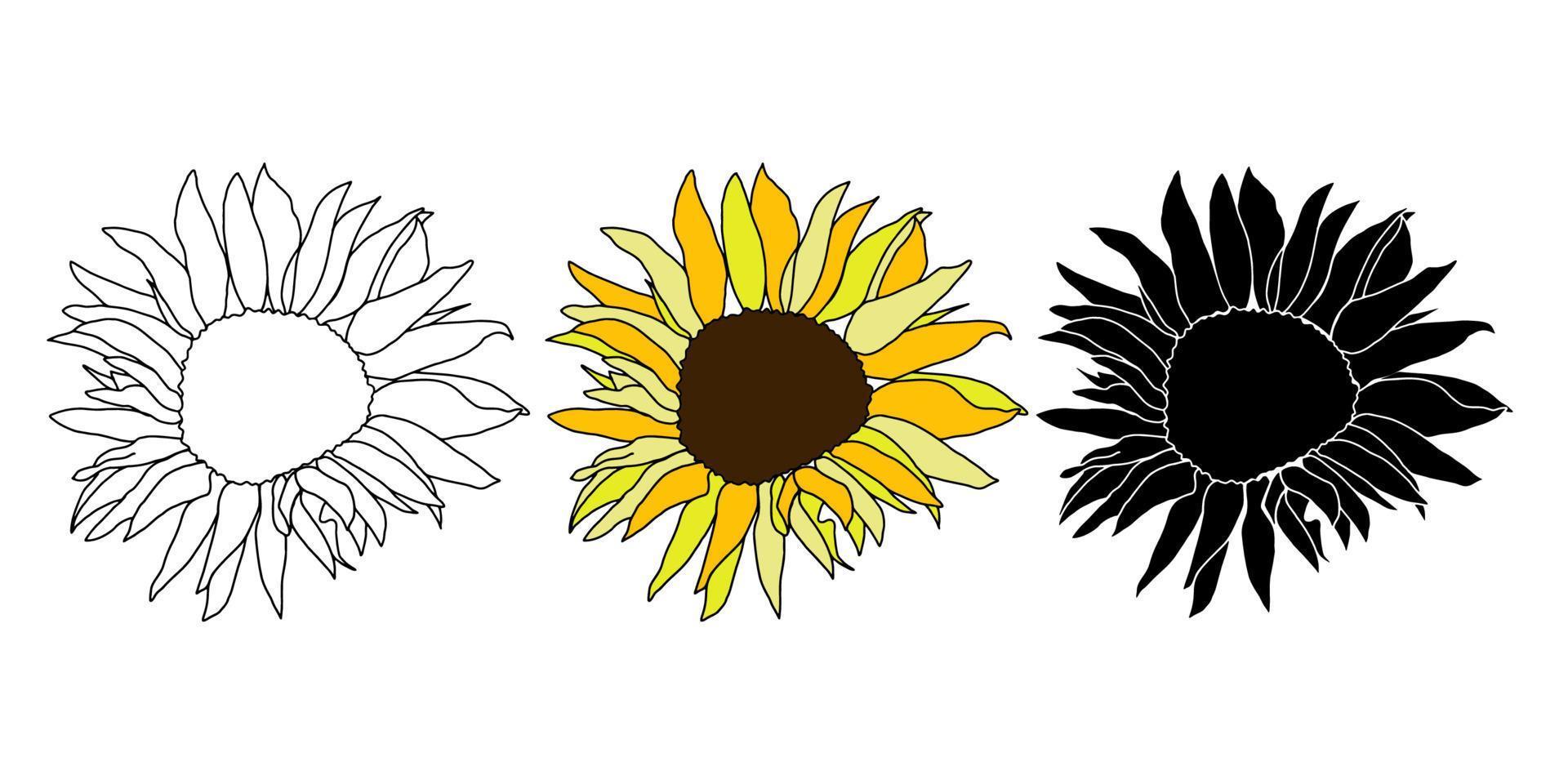 girasol cabeza flor mano dibujado vector