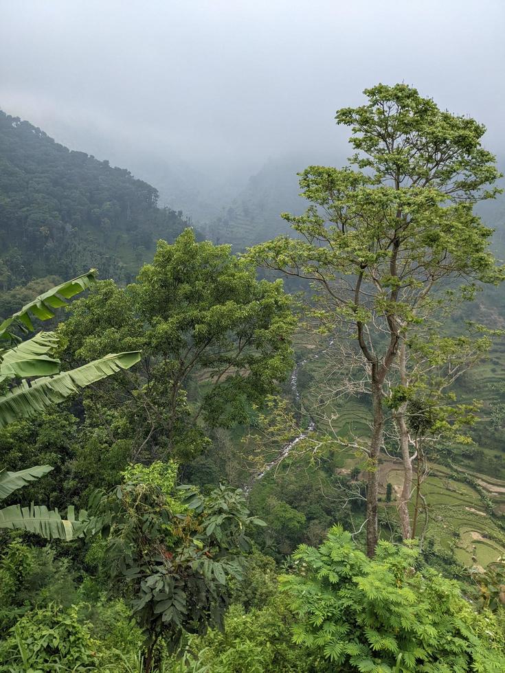 paisaje foto de montaña con empañamiento bosque y nublado cielo. el foto es adecuado a utilizar para clima cambios póster y naturaleza antecedentes.