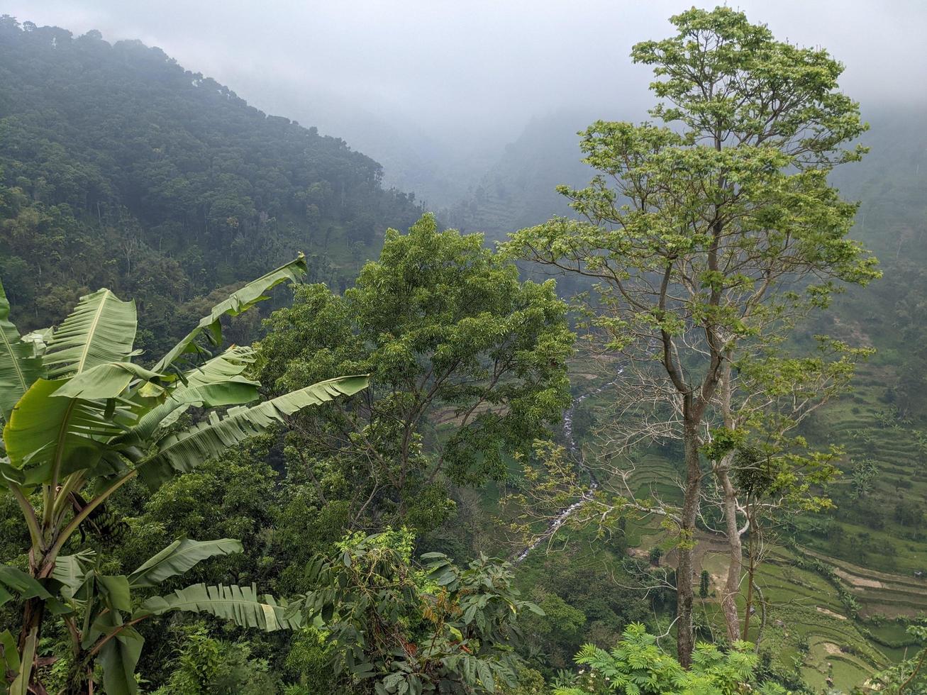 paisaje foto de montaña con empañamiento bosque y nublado cielo. el foto es adecuado a utilizar para clima cambios póster y naturaleza antecedentes.