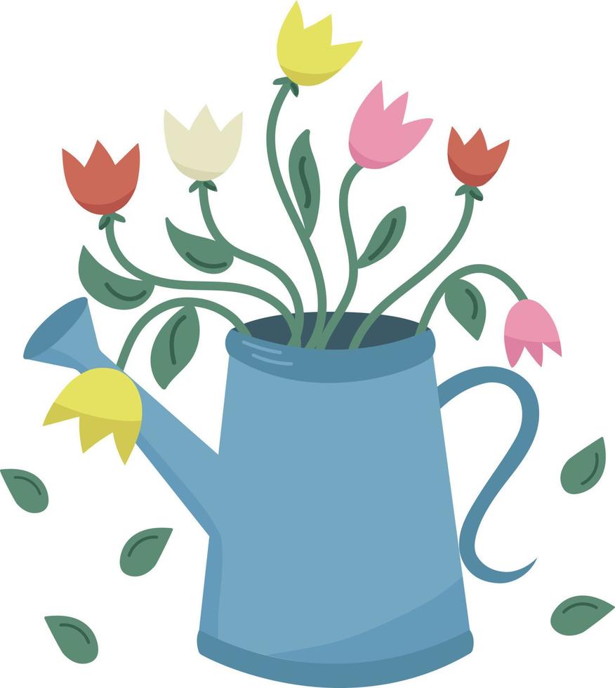 Cute Spring multicolors tulips bouquet in watering can illustration on transparent background vector
