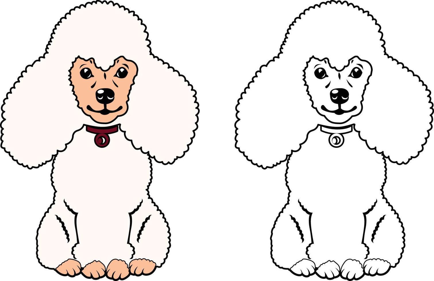 Miniature poodle sitting vector illustration line drawing with colors clip art.